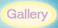 gallery - Hannibal Mne